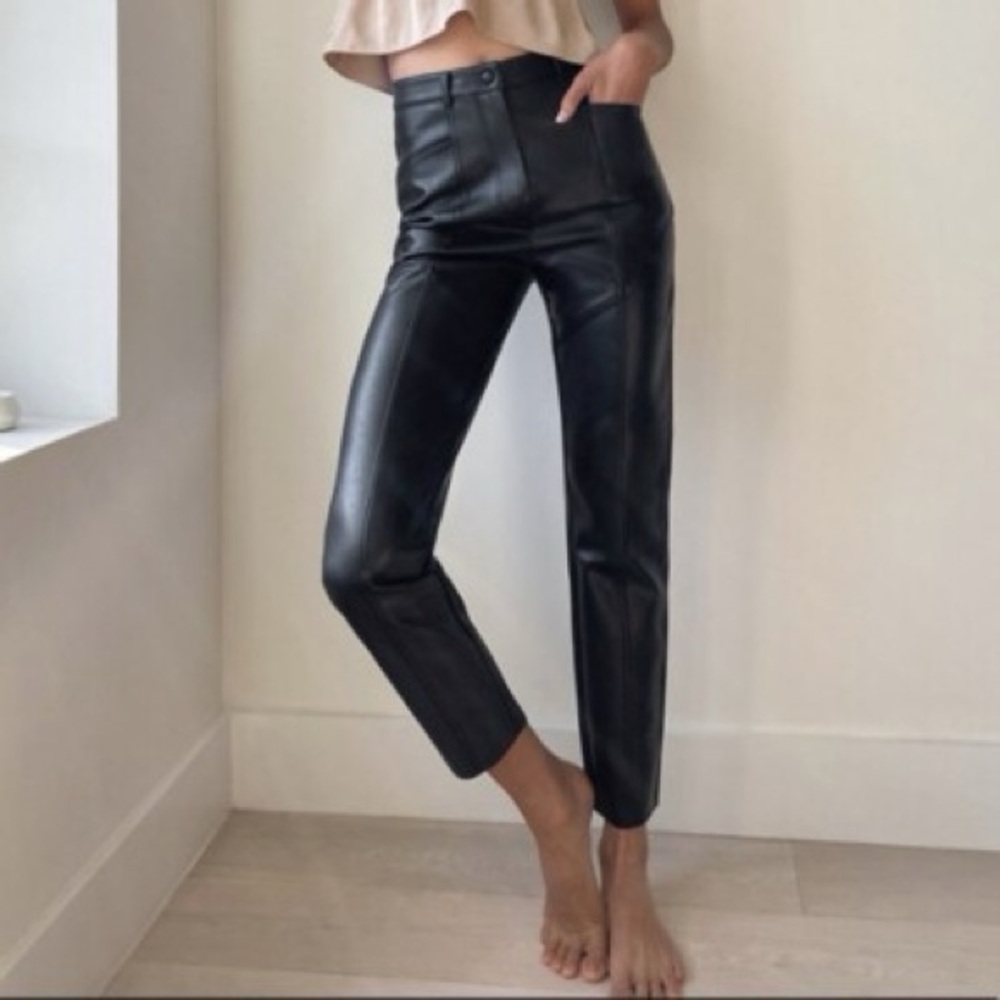 Aritzia Wilfred Rebel pants